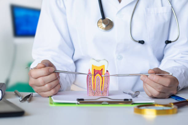 Best Orthodontic Emergency Dentist in Bolivar, TN